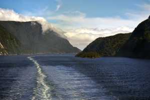 FIORDLAND-NATIONAL-PARK-2019 (249)